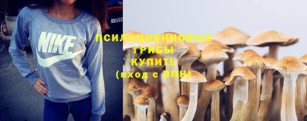 ГАЛЛЮЦИНОГЕННЫЕ ГРИБЫ Алзамай