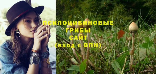 ГАЛЛЮЦИНОГЕННЫЕ ГРИБЫ Алзамай