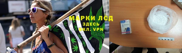 стаф Алексин