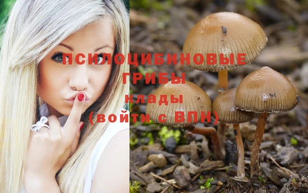 стаф Алексин