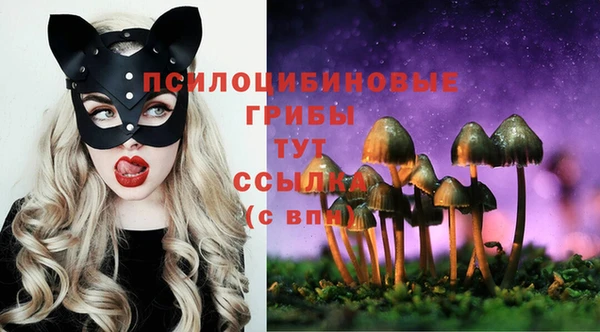 стаф Алексин