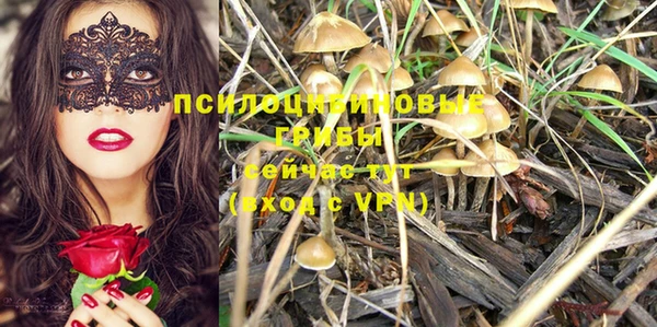 ГАЛЛЮЦИНОГЕННЫЕ ГРИБЫ Алзамай