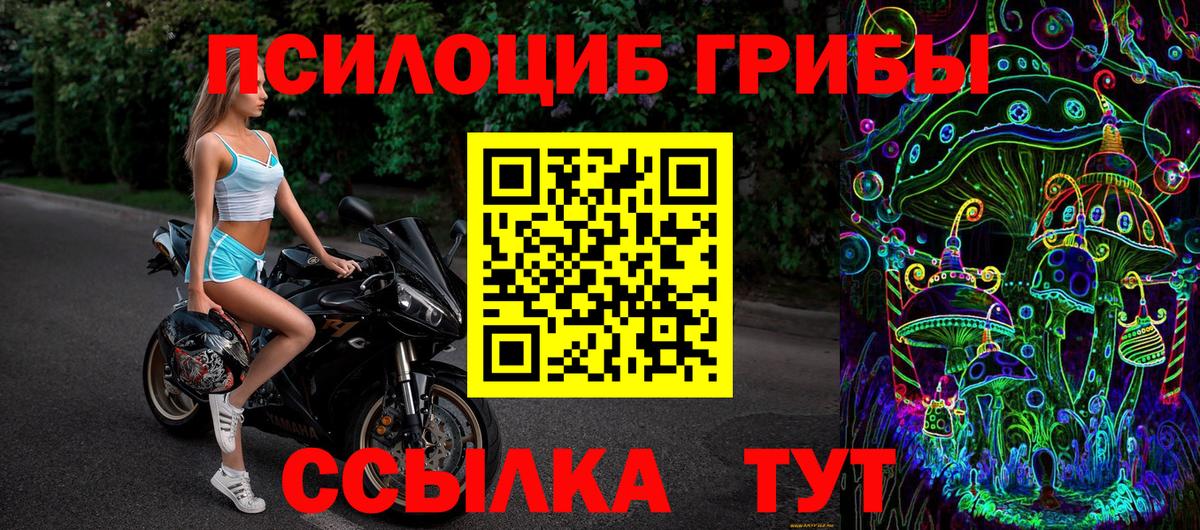 Галлюциногенные грибы Magic Shrooms  Псилоцибиновые грибы GOLDEN TEACHER  Вход с VPN  Санкт-Петербург 