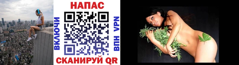 как найти закладки  Санкт-Петербург  Шишки марихуана SATIVA & INDICA 